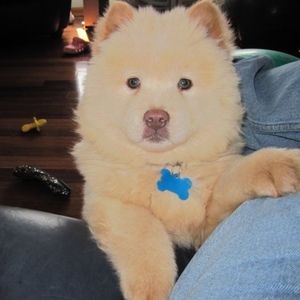 Meet your Posher, Jimmy ray